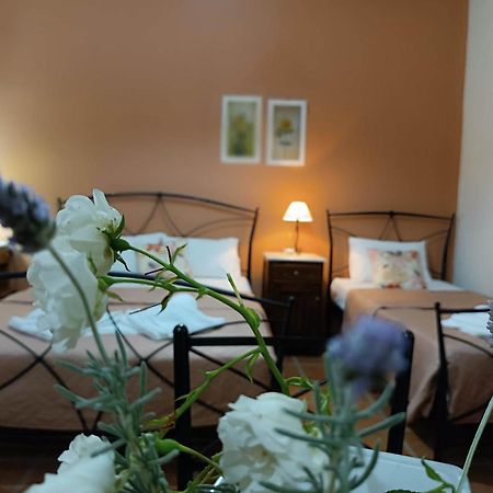 Agnontas Katikies Stamatias Studios & Maisonettes מראה חיצוני תמונה