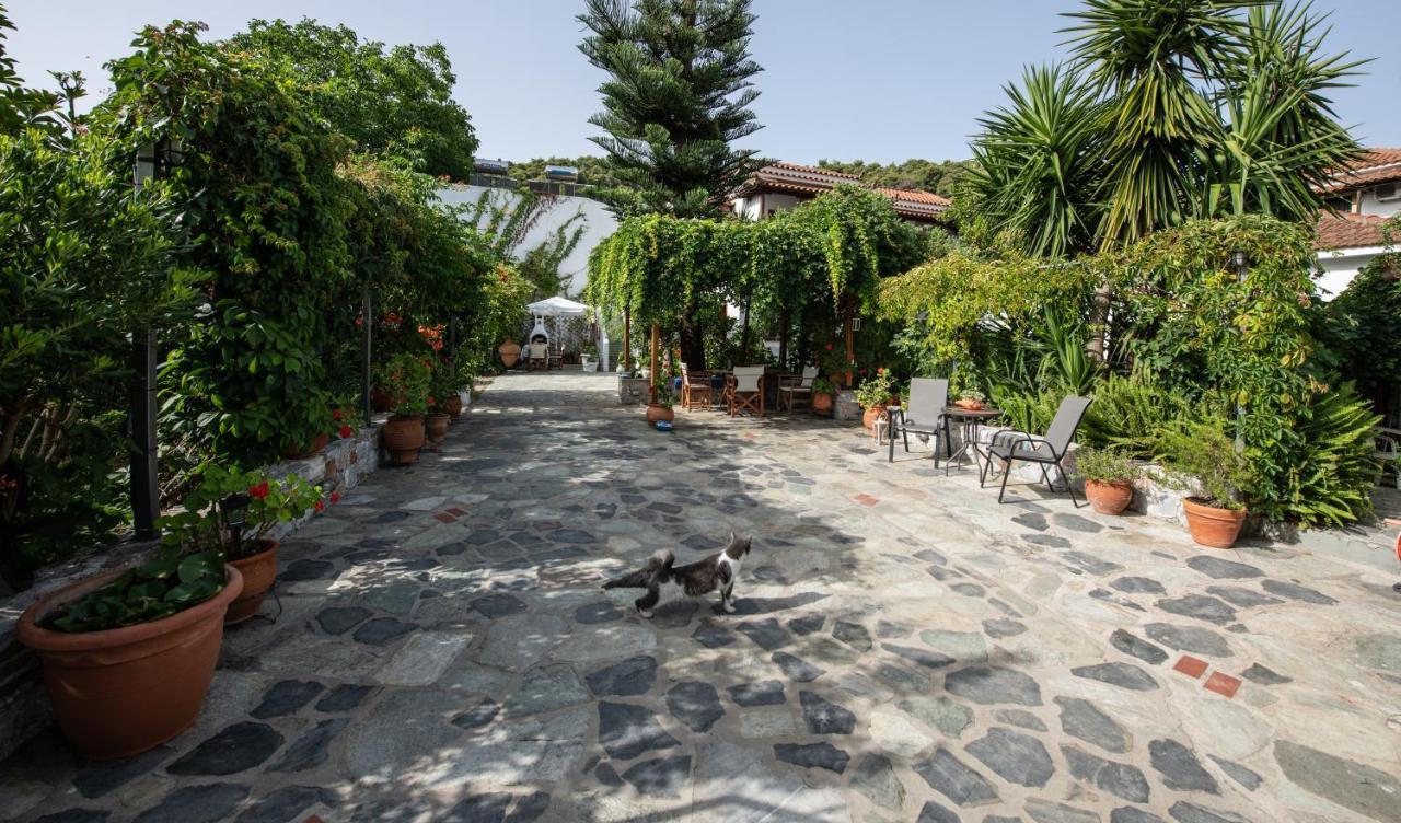 Agnontas Katikies Stamatias Studios & Maisonettes מראה חיצוני תמונה