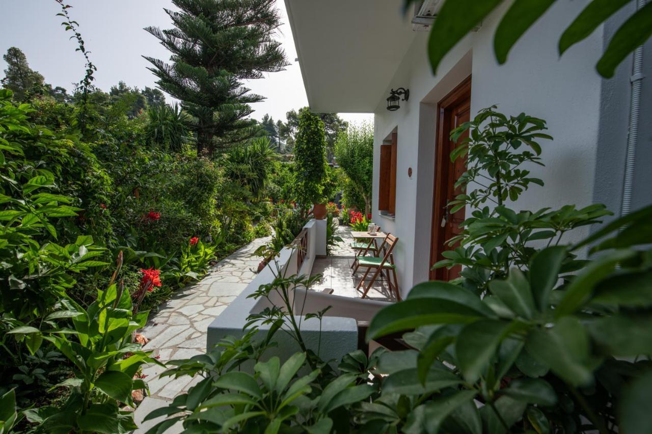 Agnontas Katikies Stamatias Studios & Maisonettes מראה חיצוני תמונה