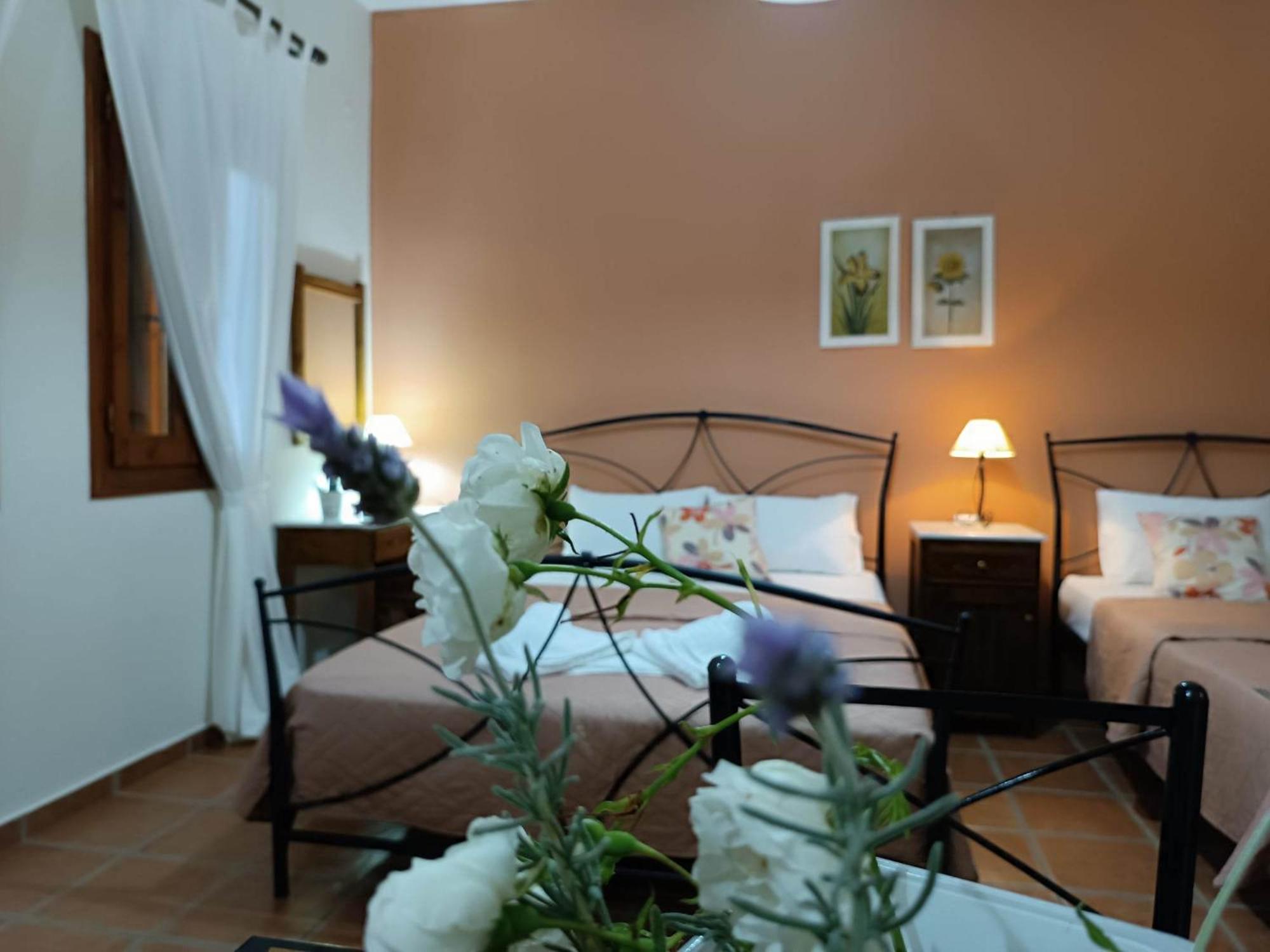 Agnontas Katikies Stamatias Studios & Maisonettes מראה חיצוני תמונה