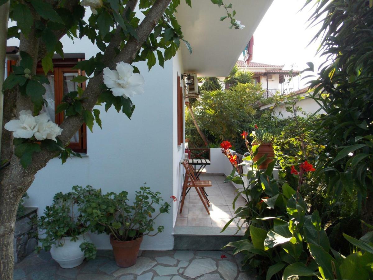 Agnontas Katikies Stamatias Studios & Maisonettes מראה חיצוני תמונה